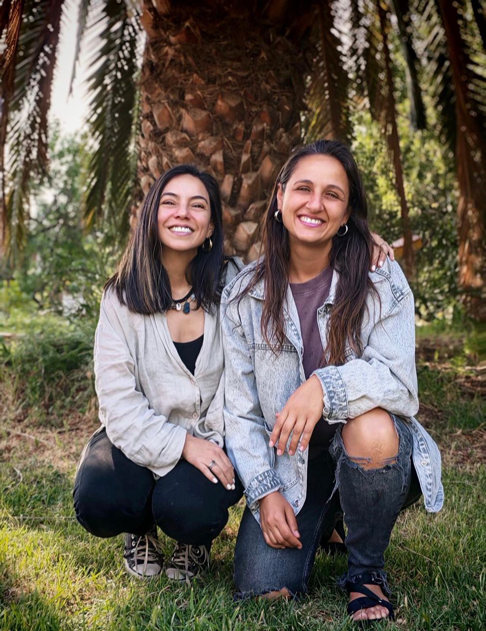 "hamaca hermano mayor para coche doble bebé"